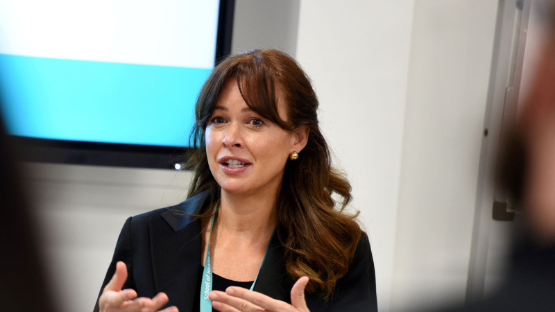 Faye Deane, Chiropractic Lecturer at Teesside University outlines the importance of integrating a formal clinical placement model into the curriculum of the MSci Chiropractic course at Teesside