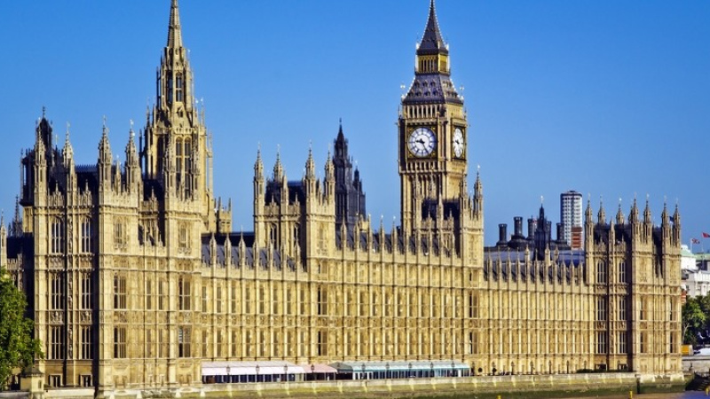 Call for all chiropractors to inform the future of regulation of the profession in the UK.